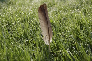 149980480_88089edbc4_z