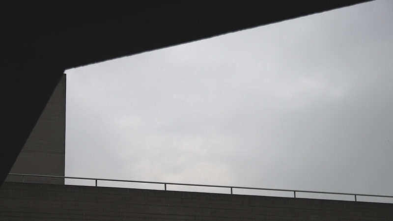 CAMRI-Conference-ImageJune-