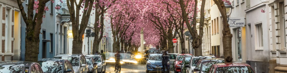 s-widua-ae4VmMbhanQ-unsplash