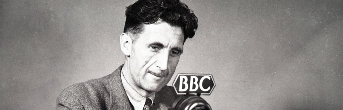 487eae84-e6fe-44a7-8cac-e385d02b1f47_1200x1200-1