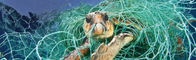 Original_WW243691-11-Read-Only-e1516806274955