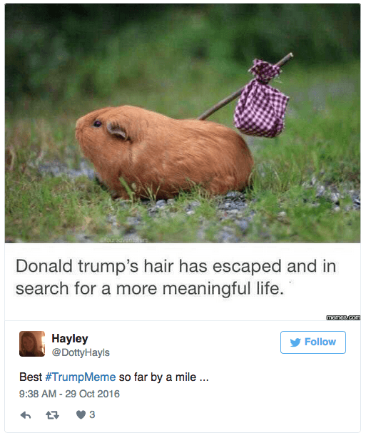 screen-shot-2016-11-10-at-13-45-30