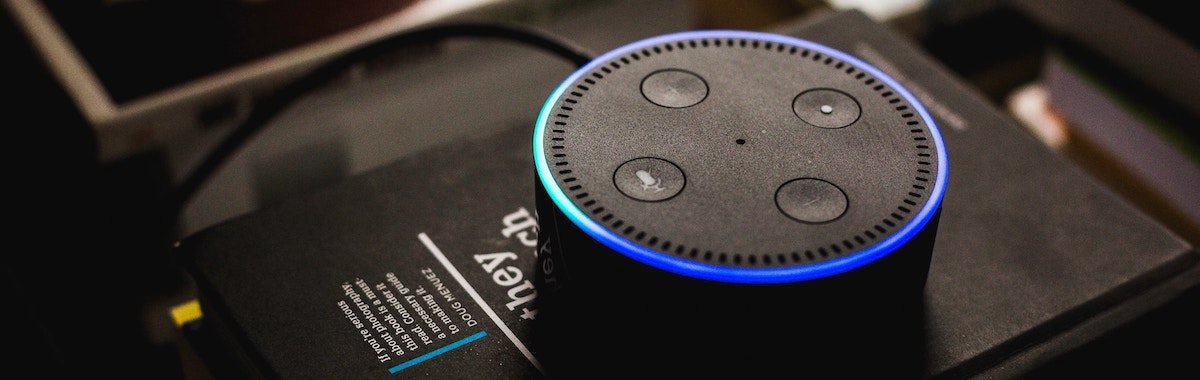 andres-urena-tsBropDpnwE-unsplash