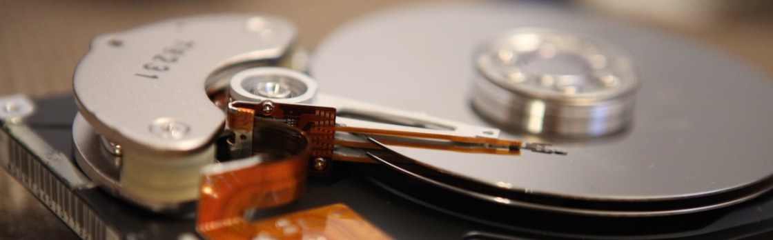 art-wall-kittenprint-9Wq1HpghQ4A-unsplash