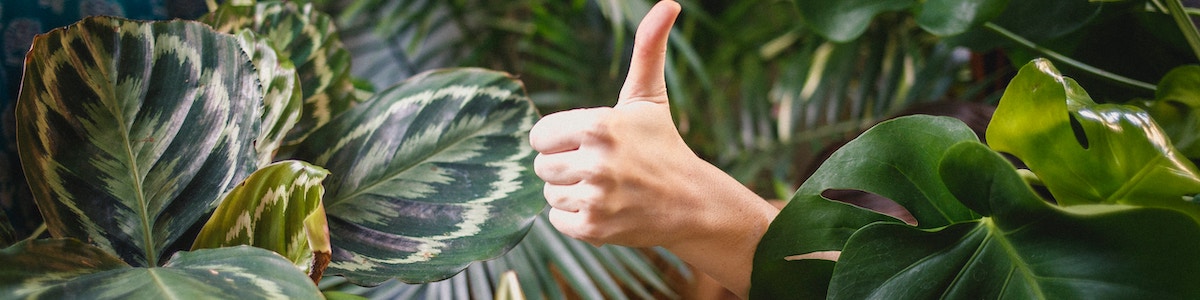 katya-ross-4Vg6ez9jaec-unsplash