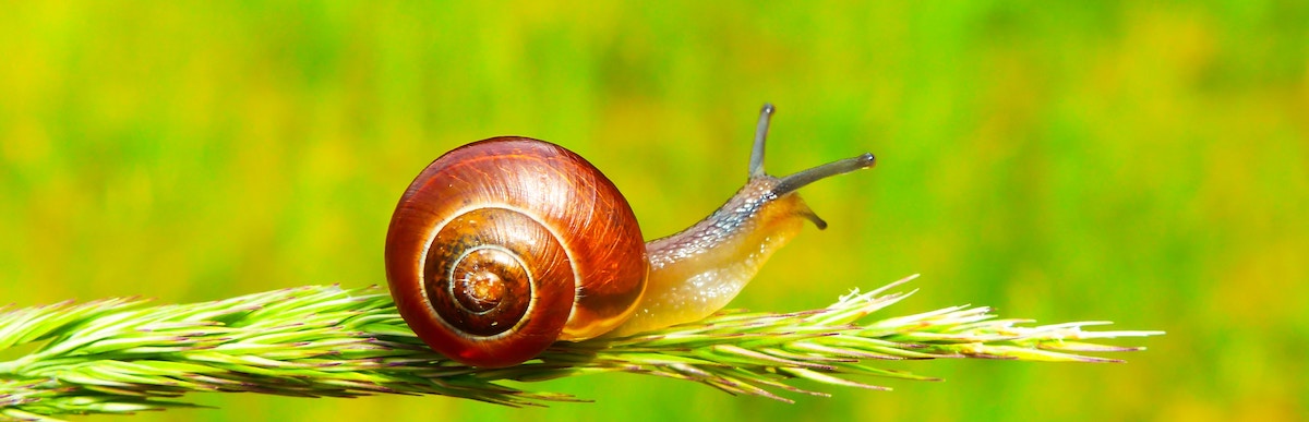 krzysztof-niewolny-OxK32aLJXWU-unsplash