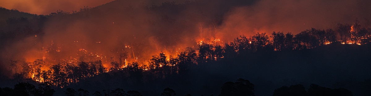 matt-palmer-kbTp7dBzHyY-unsplash