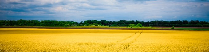 olga-subach-BRHVnm1SPWA-unsplash