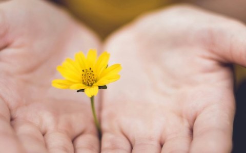 lina-trochez-ktPKyUs3Qjs-unsplash