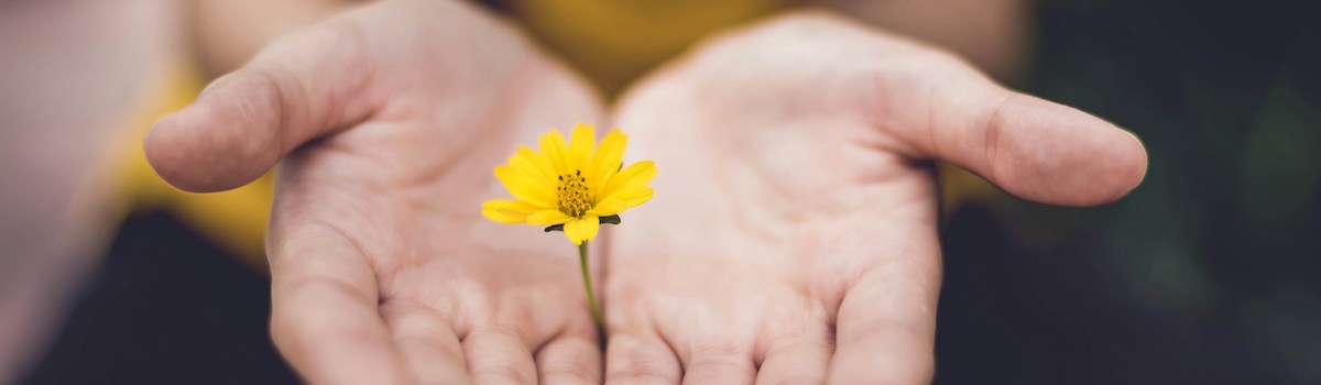 lina-trochez-ktPKyUs3Qjs-unsplash