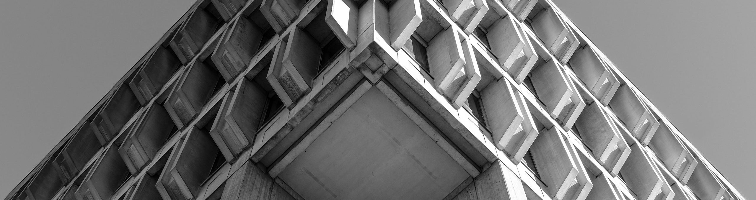 pexels-steve-pancrate-1746203-3318582