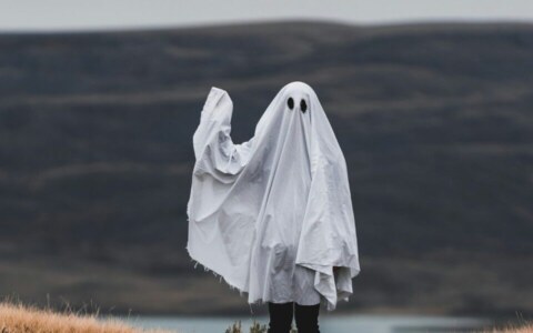 tandem-x-visuals-FZOOxR2auVI-unsplash