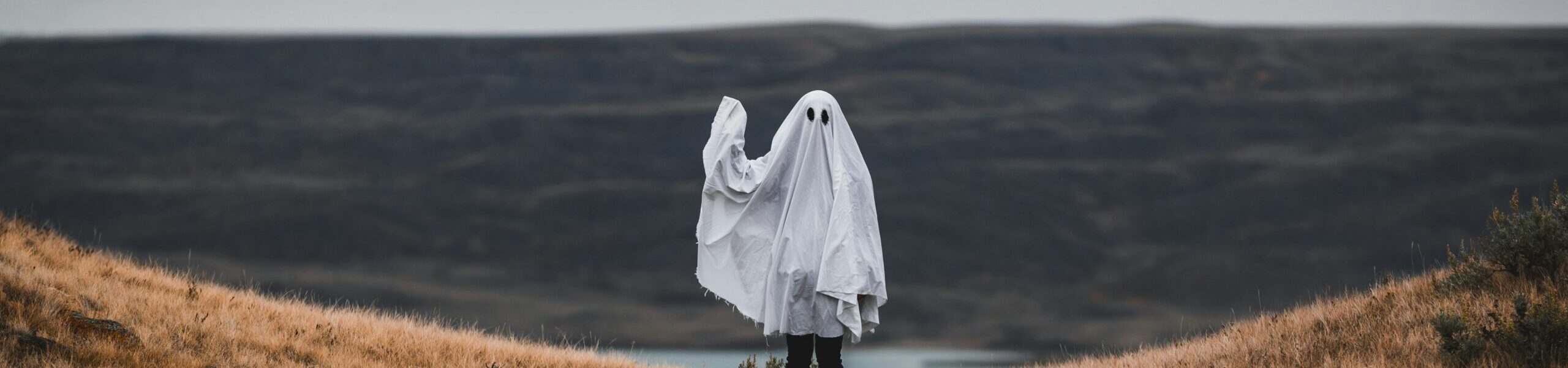 tandem-x-visuals-FZOOxR2auVI-unsplash